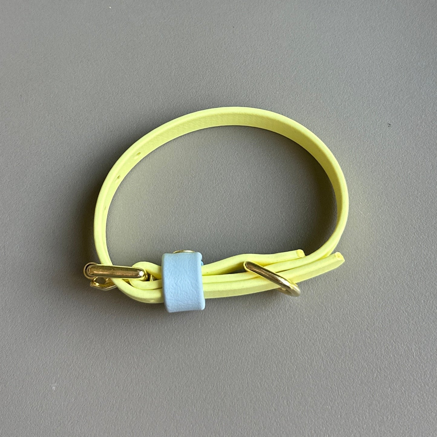 Rory Colourblock BioThane® Collar