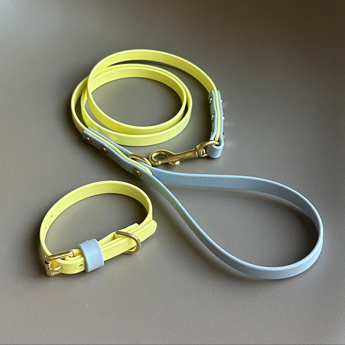 Rory Colourblock BioThane® Lead