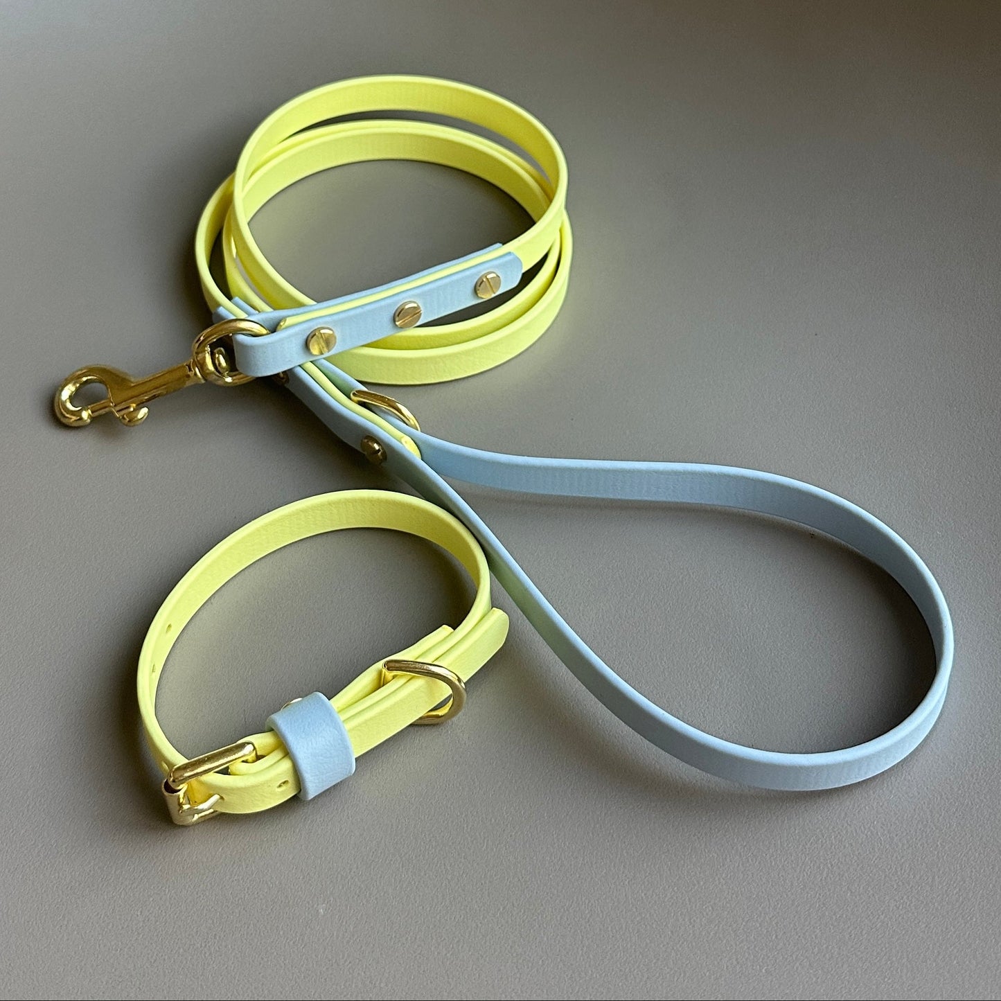 Rory Colourblock BioThane® Collar