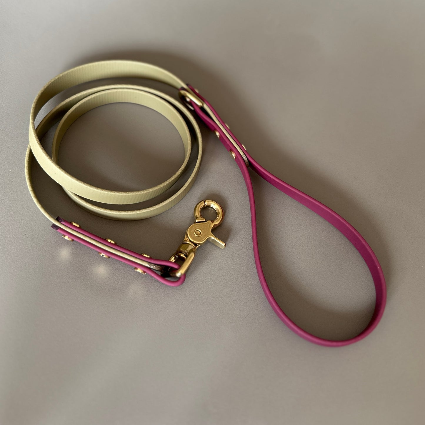 Mavis Colourblock BioThane® Lead