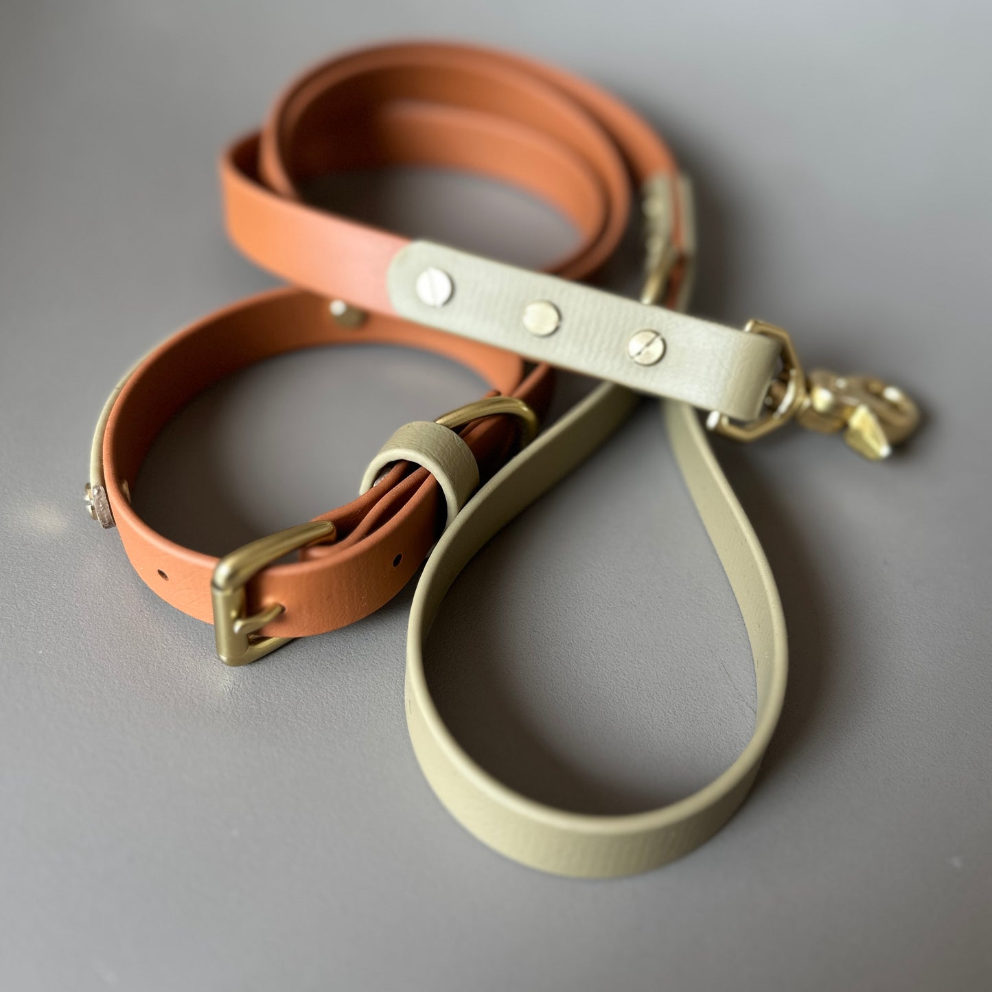 Bark & Vibe X Franks Goods BioThane® Colourband Collar