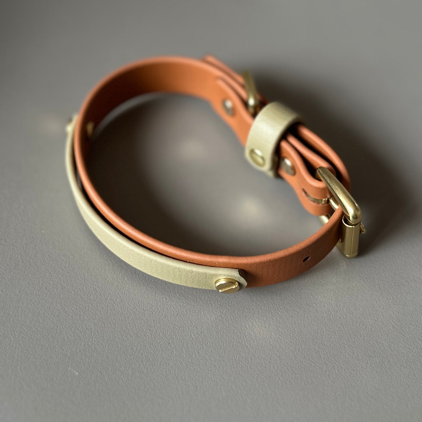 Bark & Vibe X Franks Goods BioThane® Colourband Collar