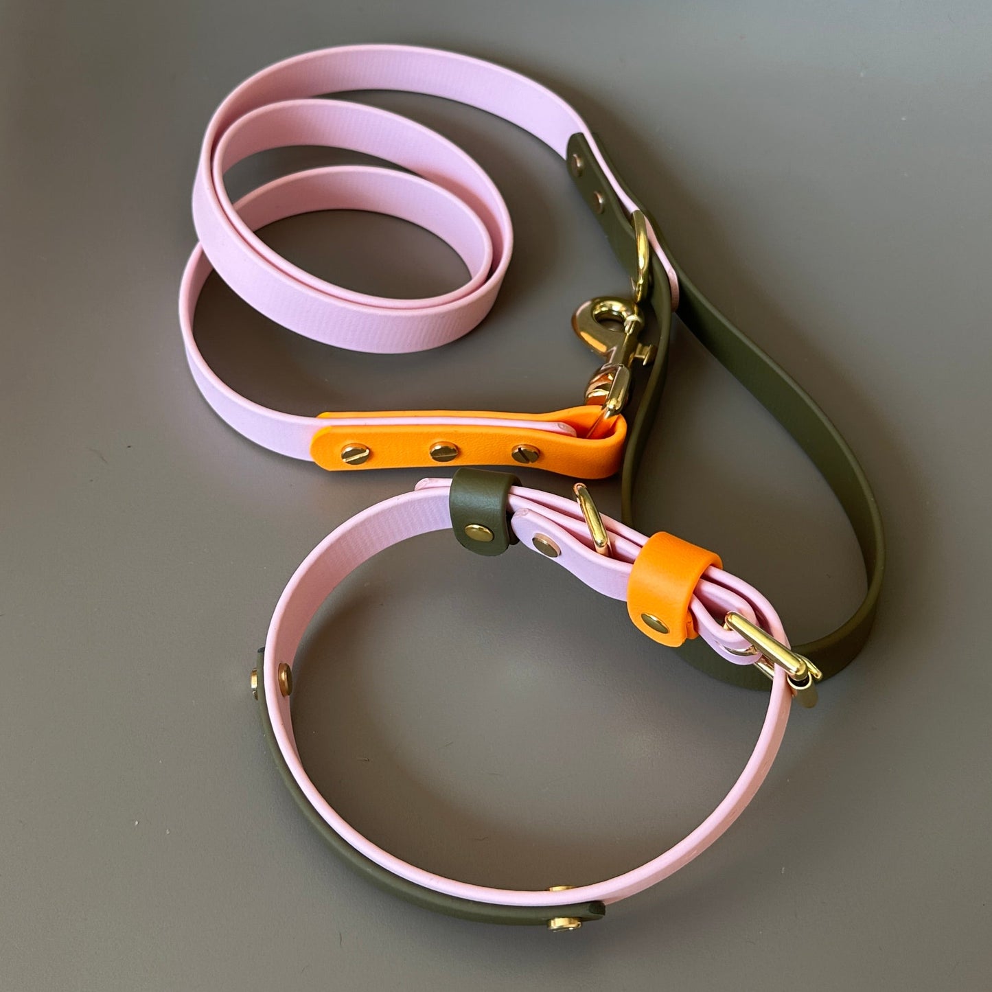 Marmalade Colourband BioThane® Collar