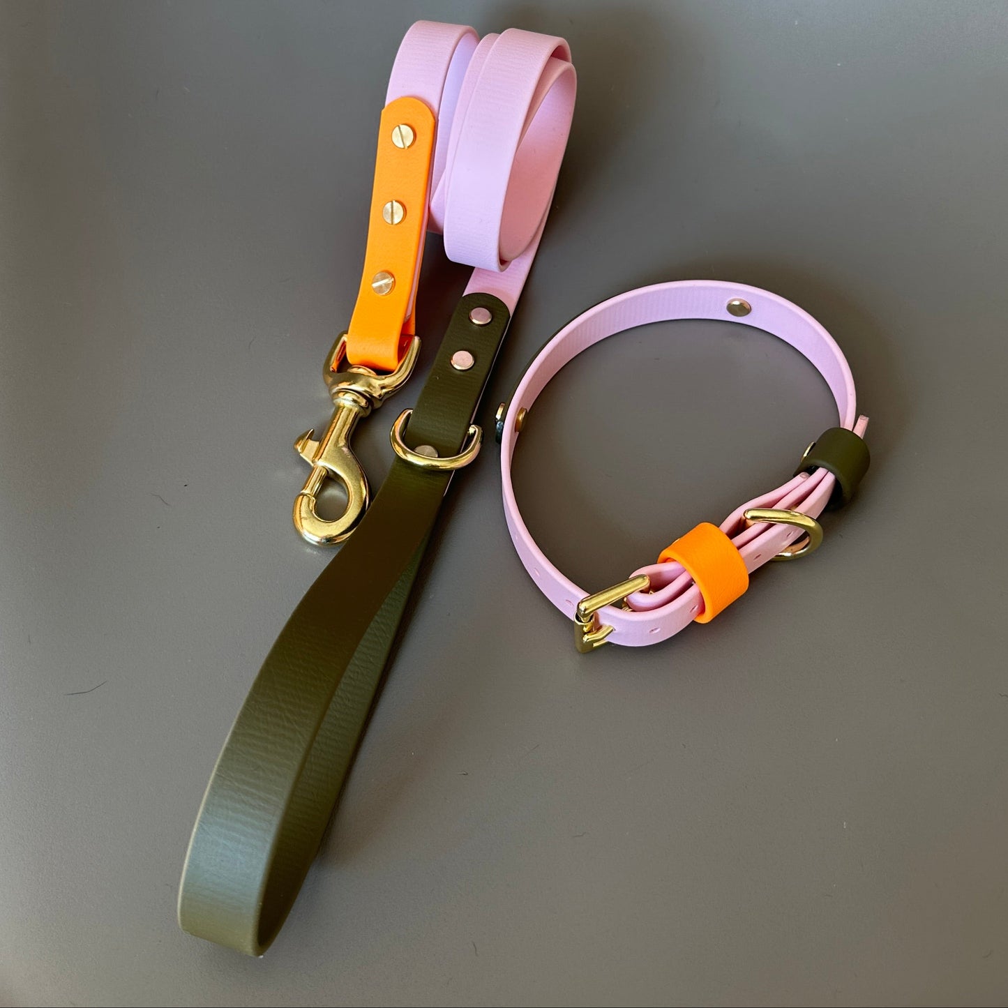 Marmalade Colourband BioThane® Collar