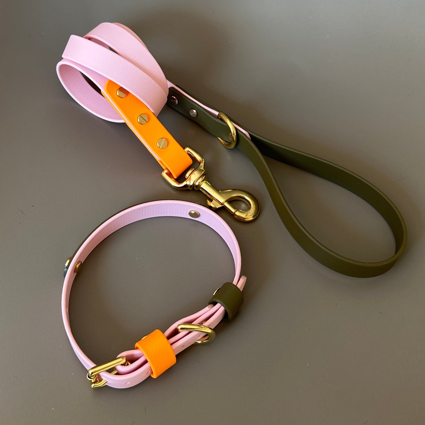 Marmalade Colourband BioThane® Collar