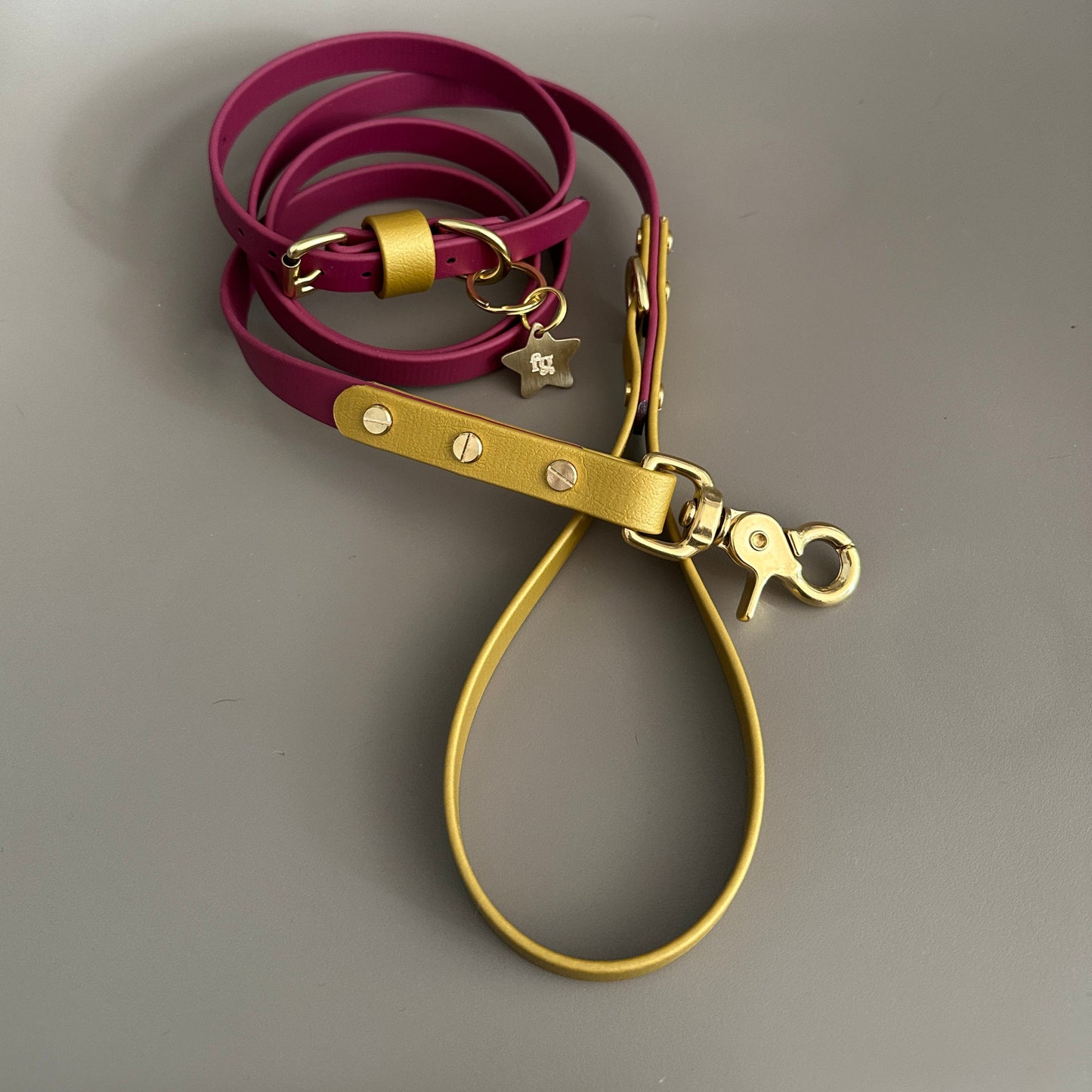 Carebear Colourblock BioThane® Collar