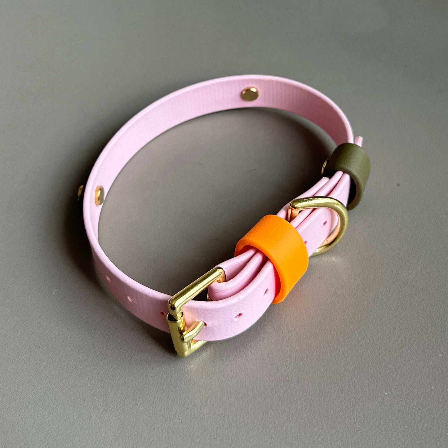 Marmalade Colourband BioThane® Collar