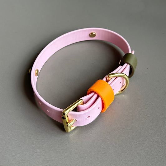 Marmalade Colourband BioThane® Collar