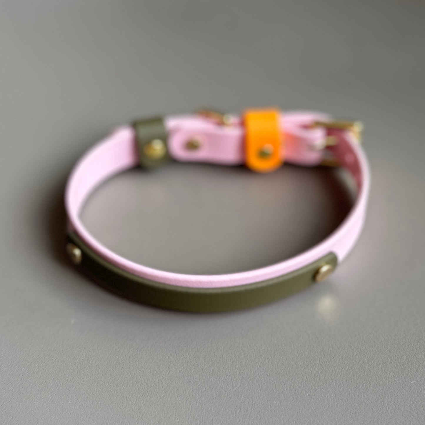 Marmalade Colourband BioThane® Collar