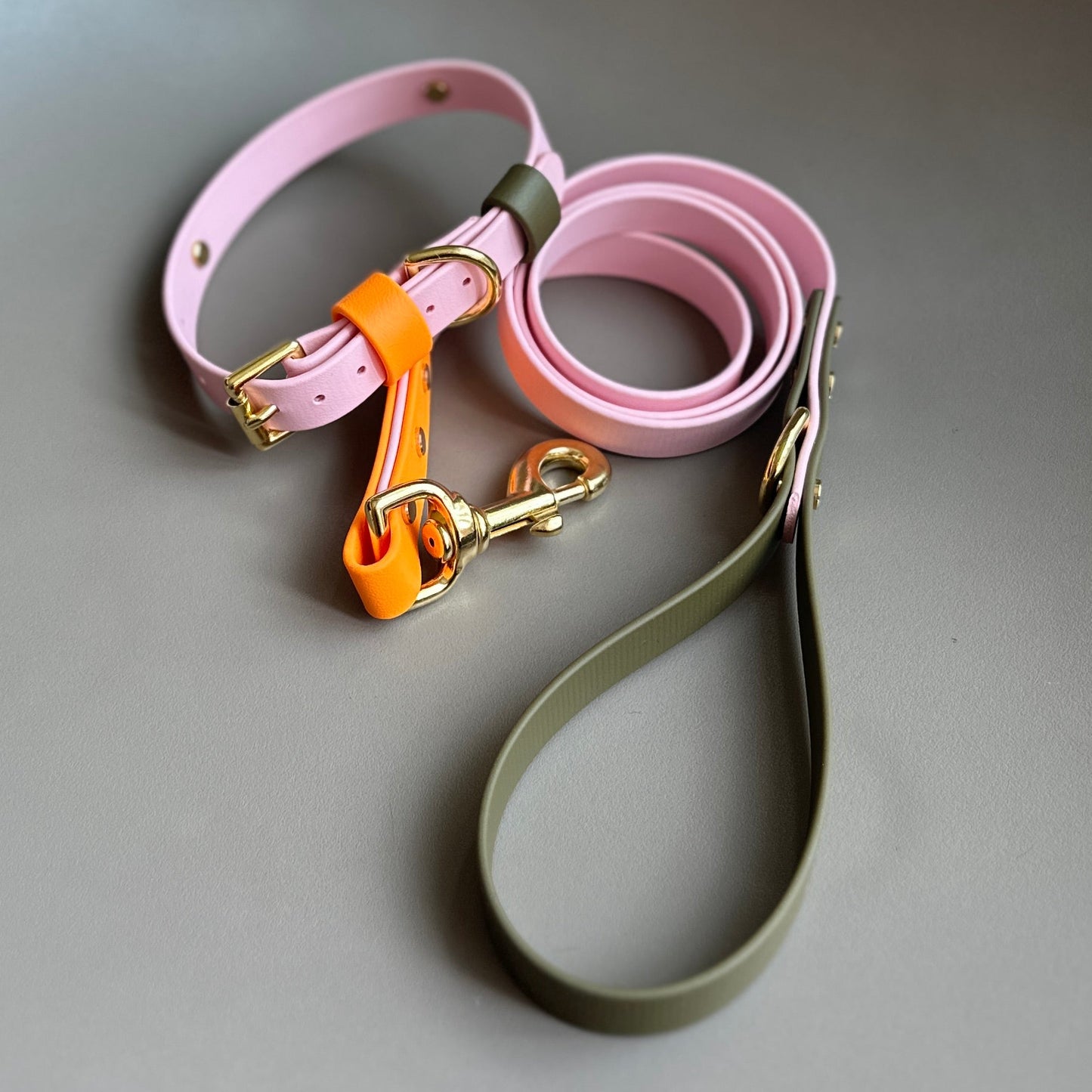 Marmalade Colourblock BioThane® Lead