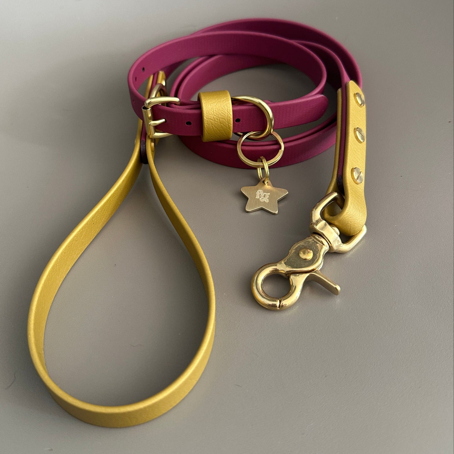 Carebear Colourblock BioThane® Collar