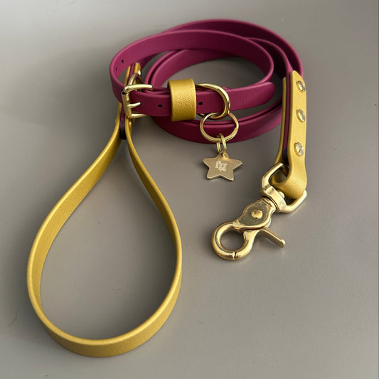 Carebear Colourblock BioThane® Lead