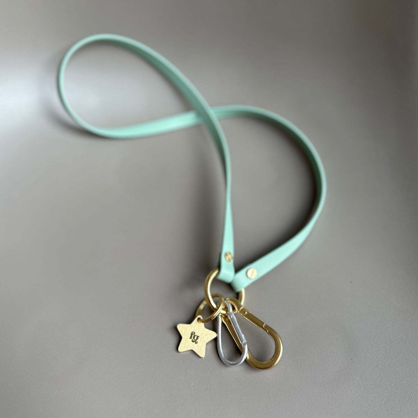 BioThane® Key / Whistle Lanyard