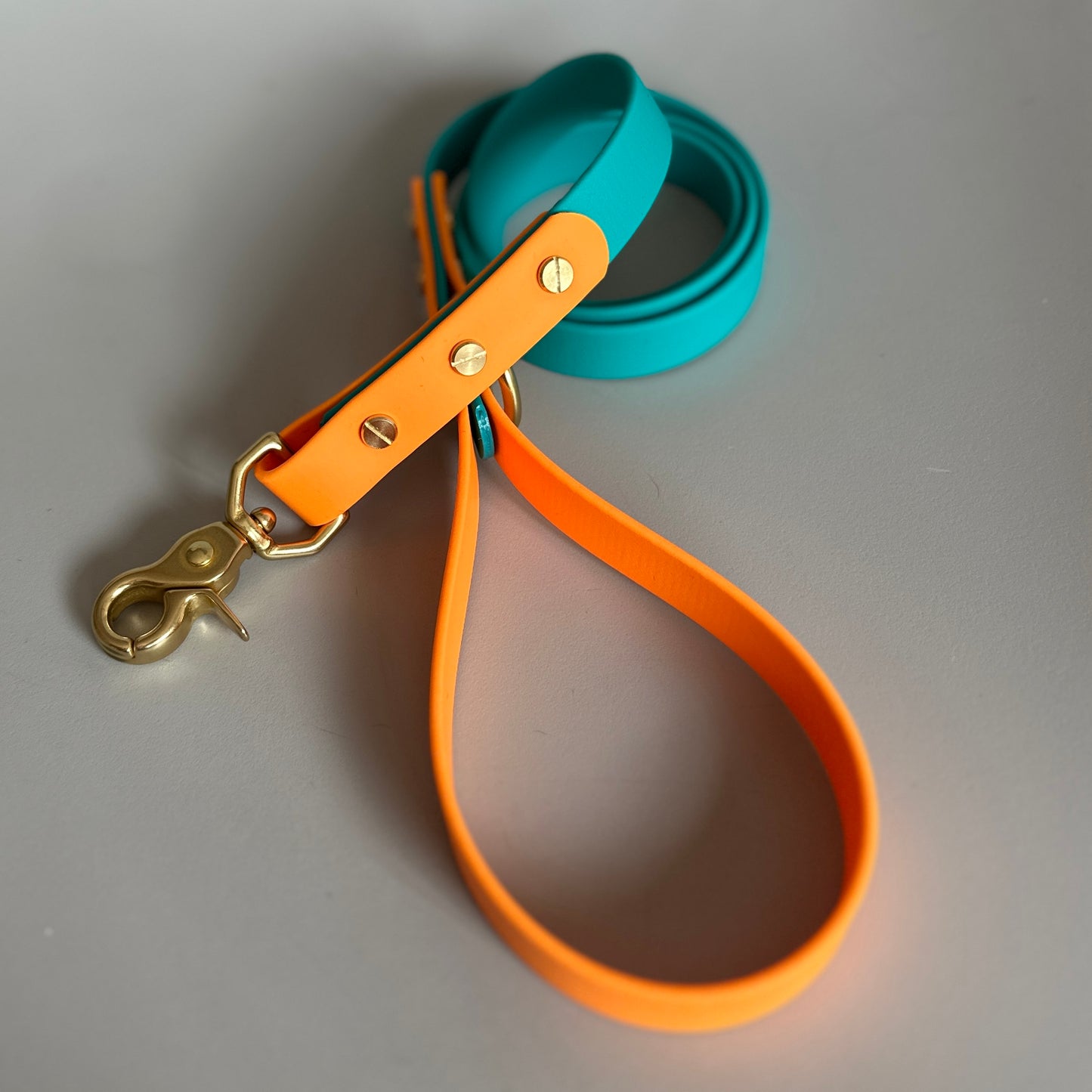 Babble Turquoise Colourblock BioThane® Lead