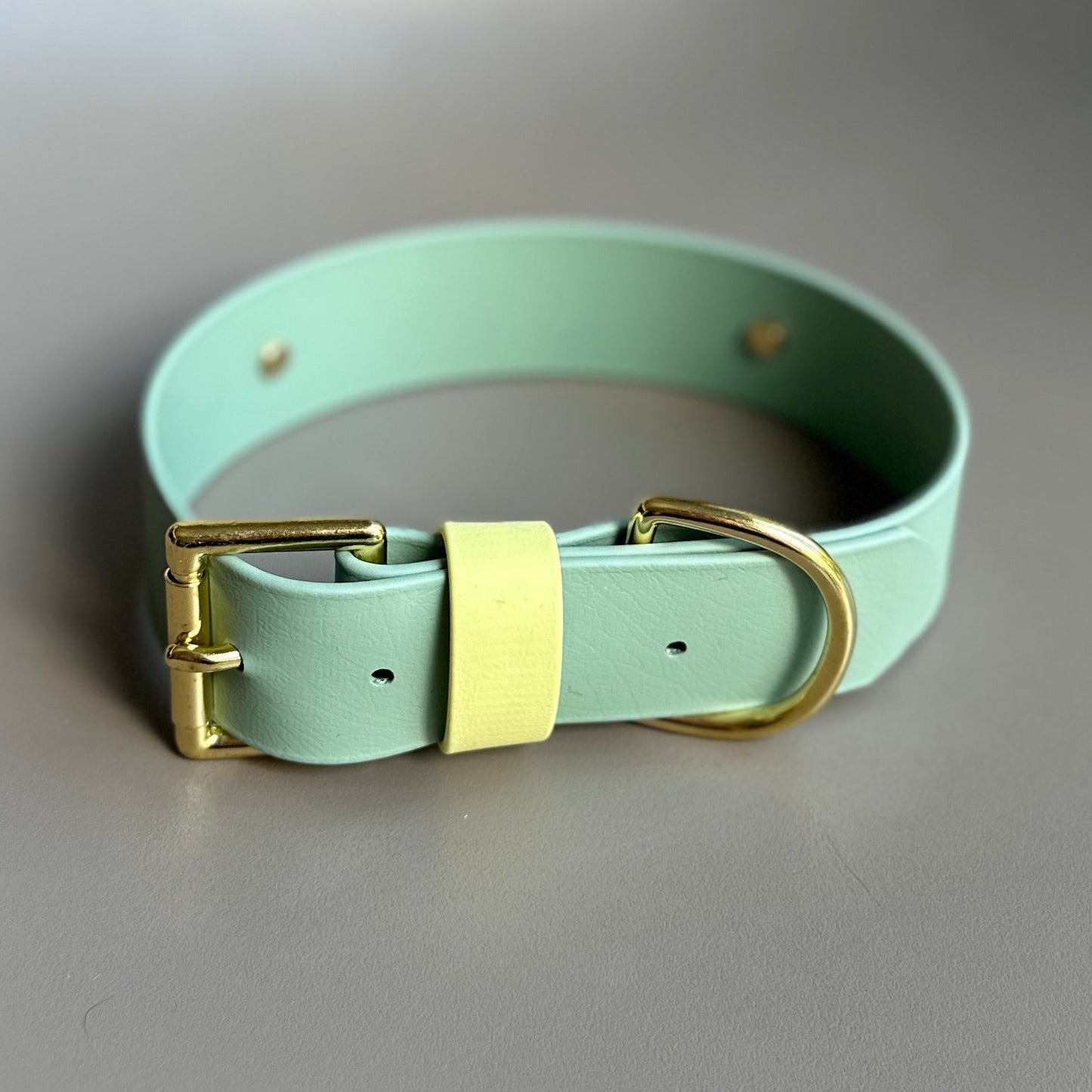 Bertie Wide 38mm BioThane® Collar