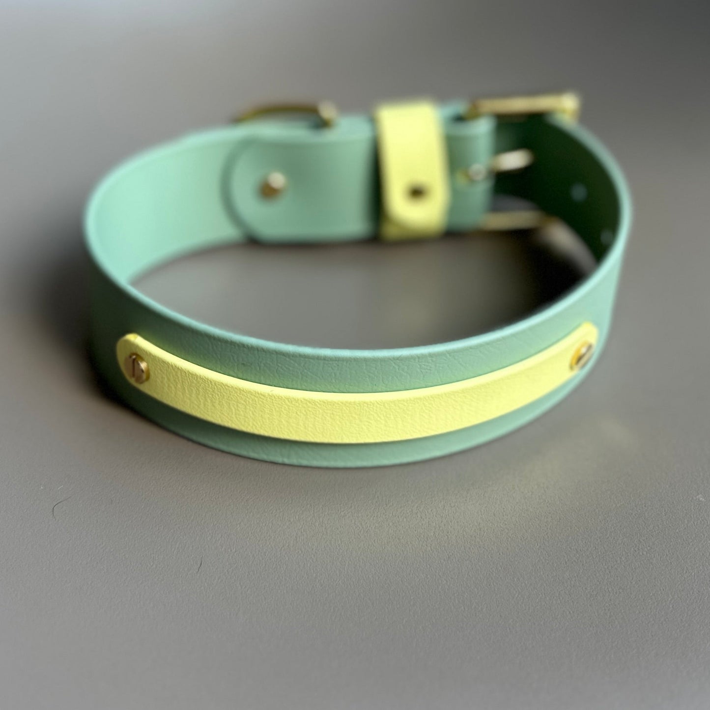 Bertie Wide 38mm BioThane® Collar