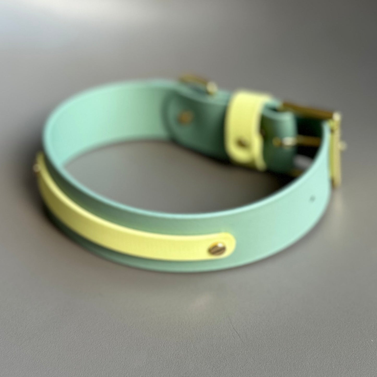 Bertie Wide 38mm BioThane® Collar