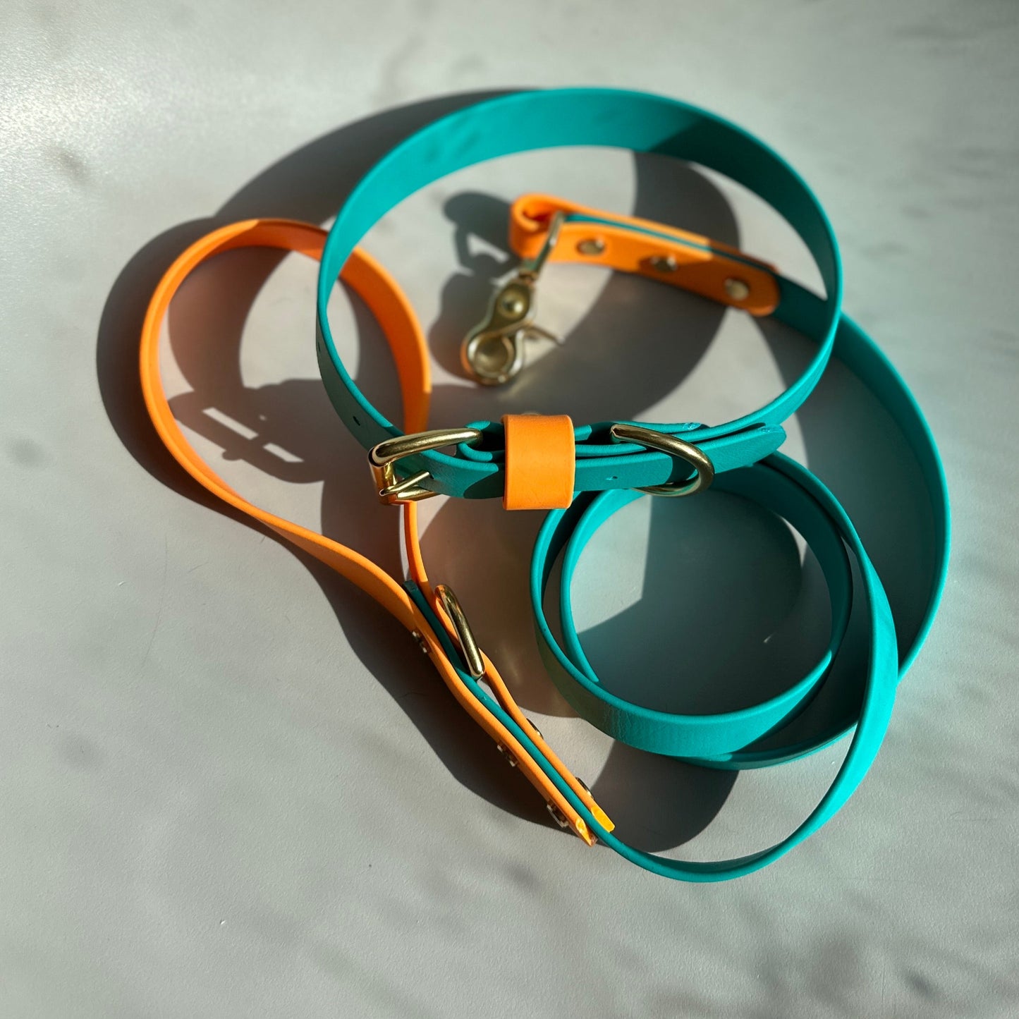 Babble Turquoise Colourblock BioThane® Lead
