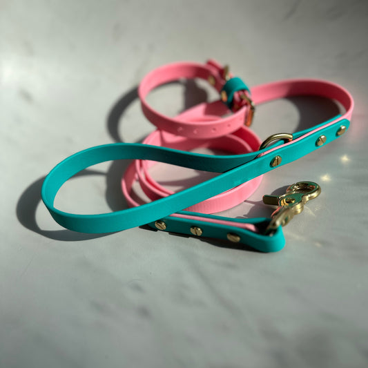 Babble Pink Colourblock BioThane® Lead