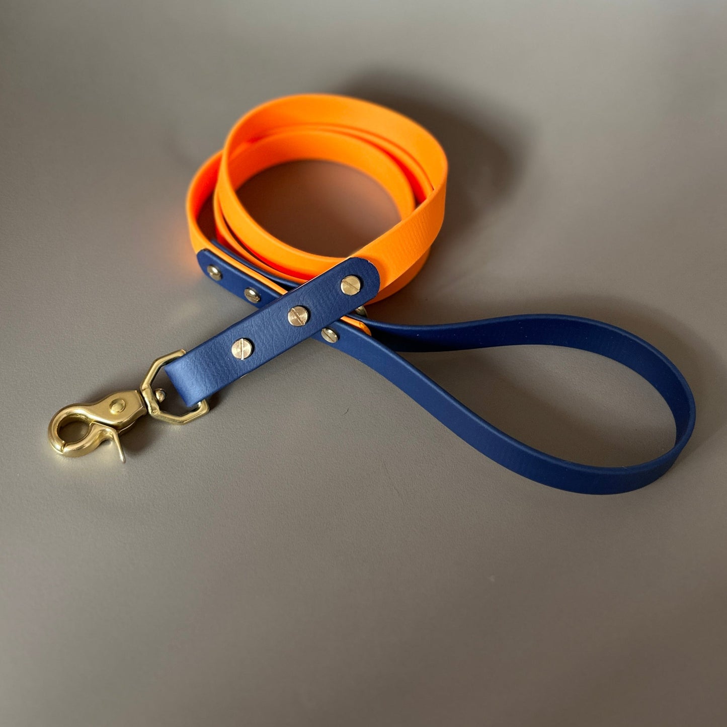 Mick Colourblock BioThane® Lead