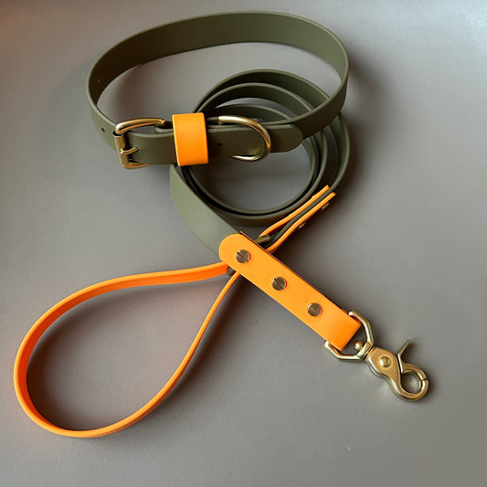 Dougie Colourblock BioThane® Lead
