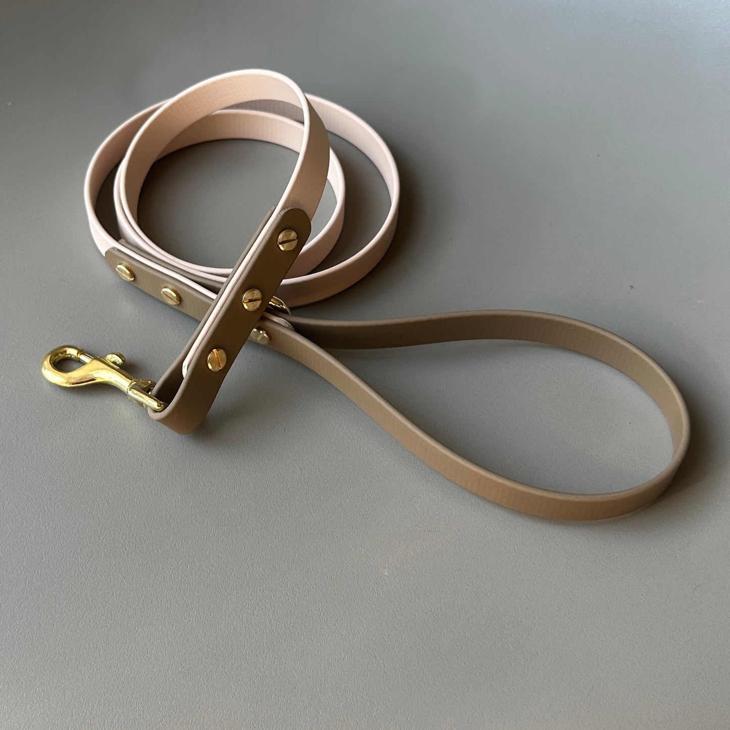 Ron Colourblock BioThane® Lead