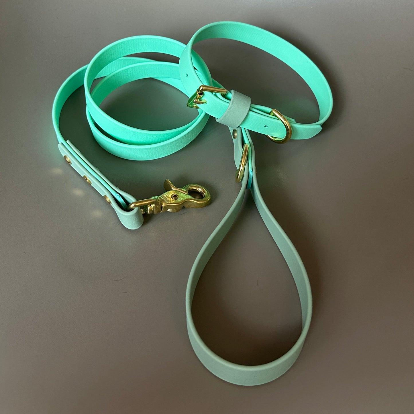 Corran Colourblock BioThane® Collar