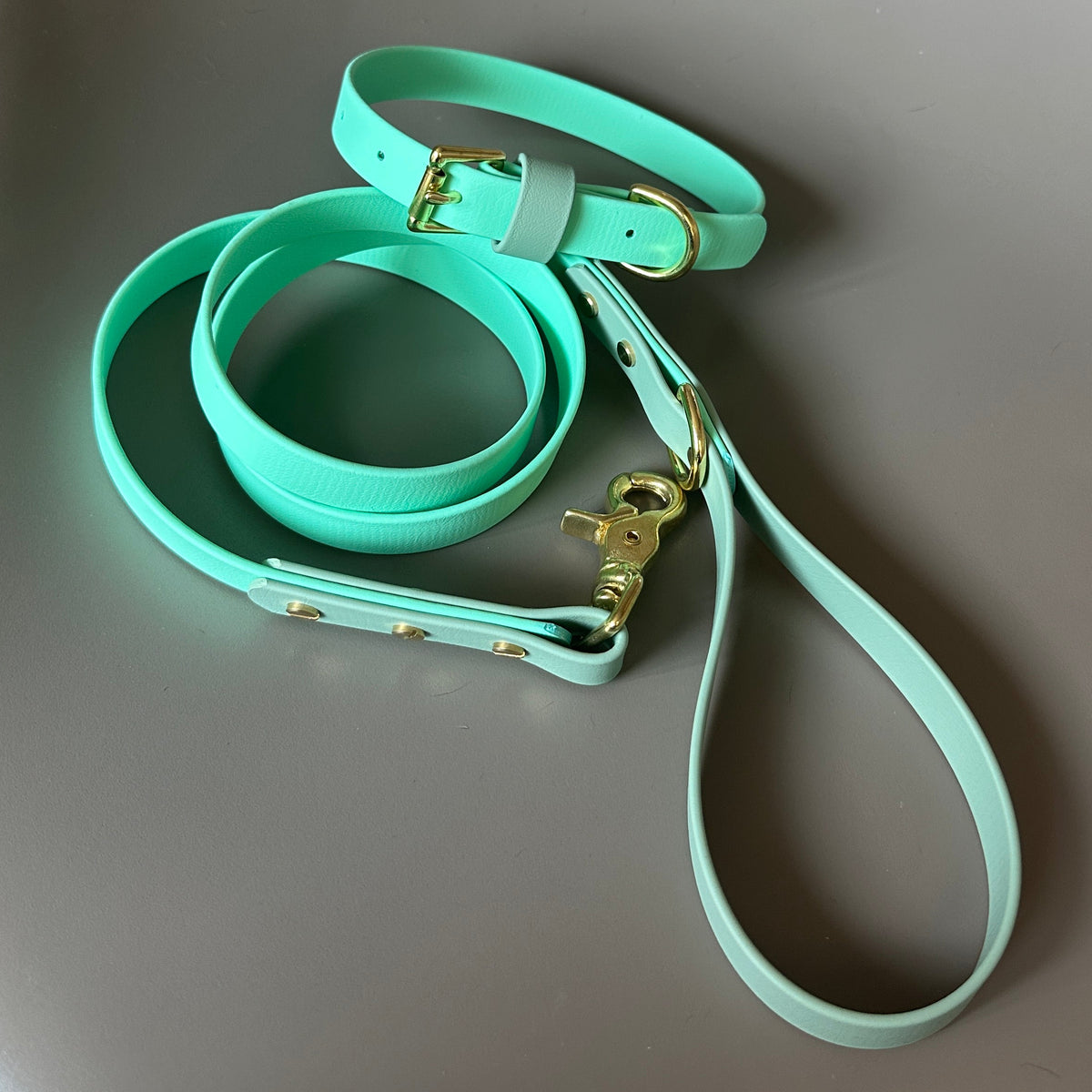 Corran Colourblock BioThane® Collar
