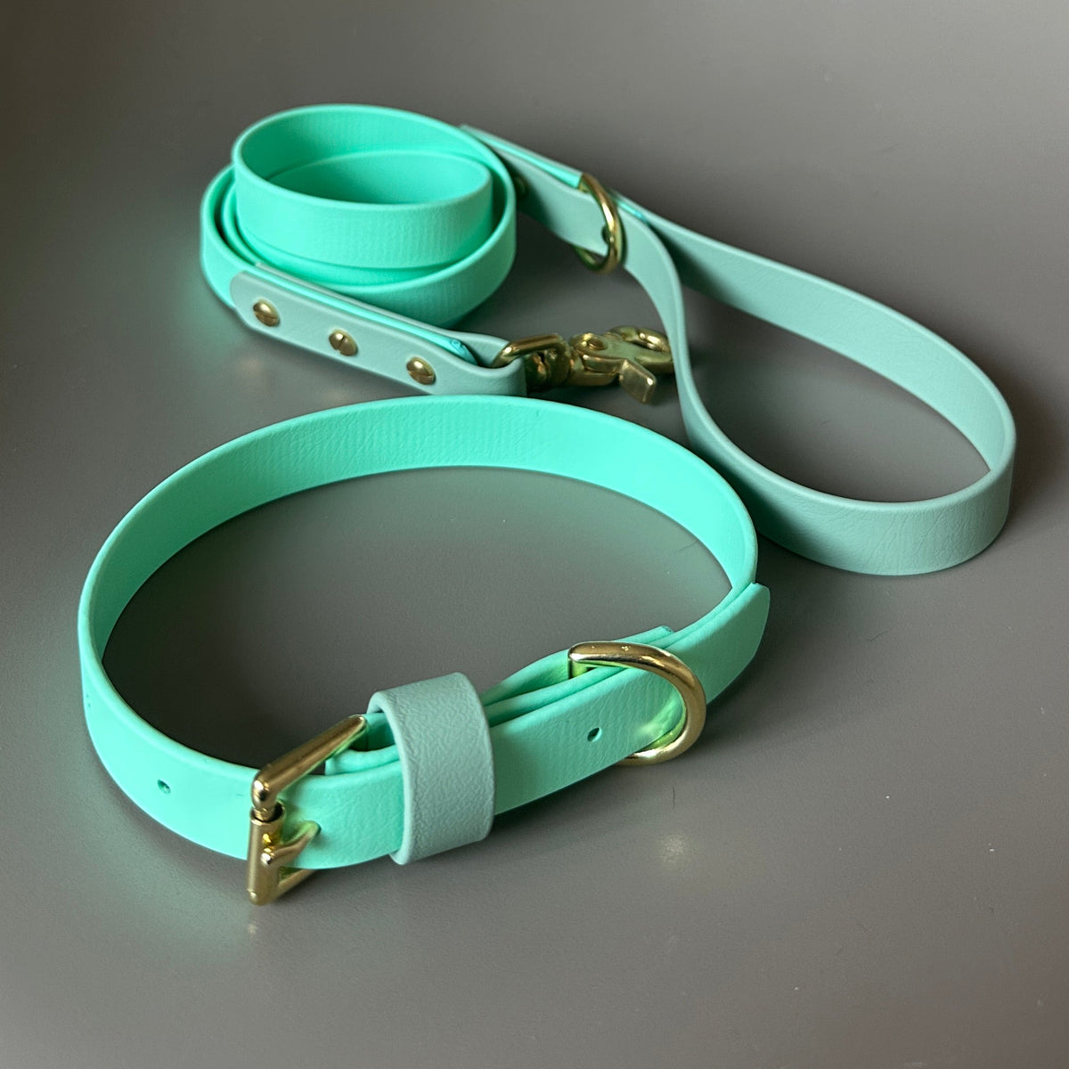Corran Colourblock BioThane® Collar