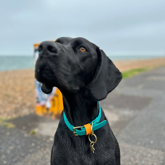 Babble Turquoise Colourblock BioThane® Collar