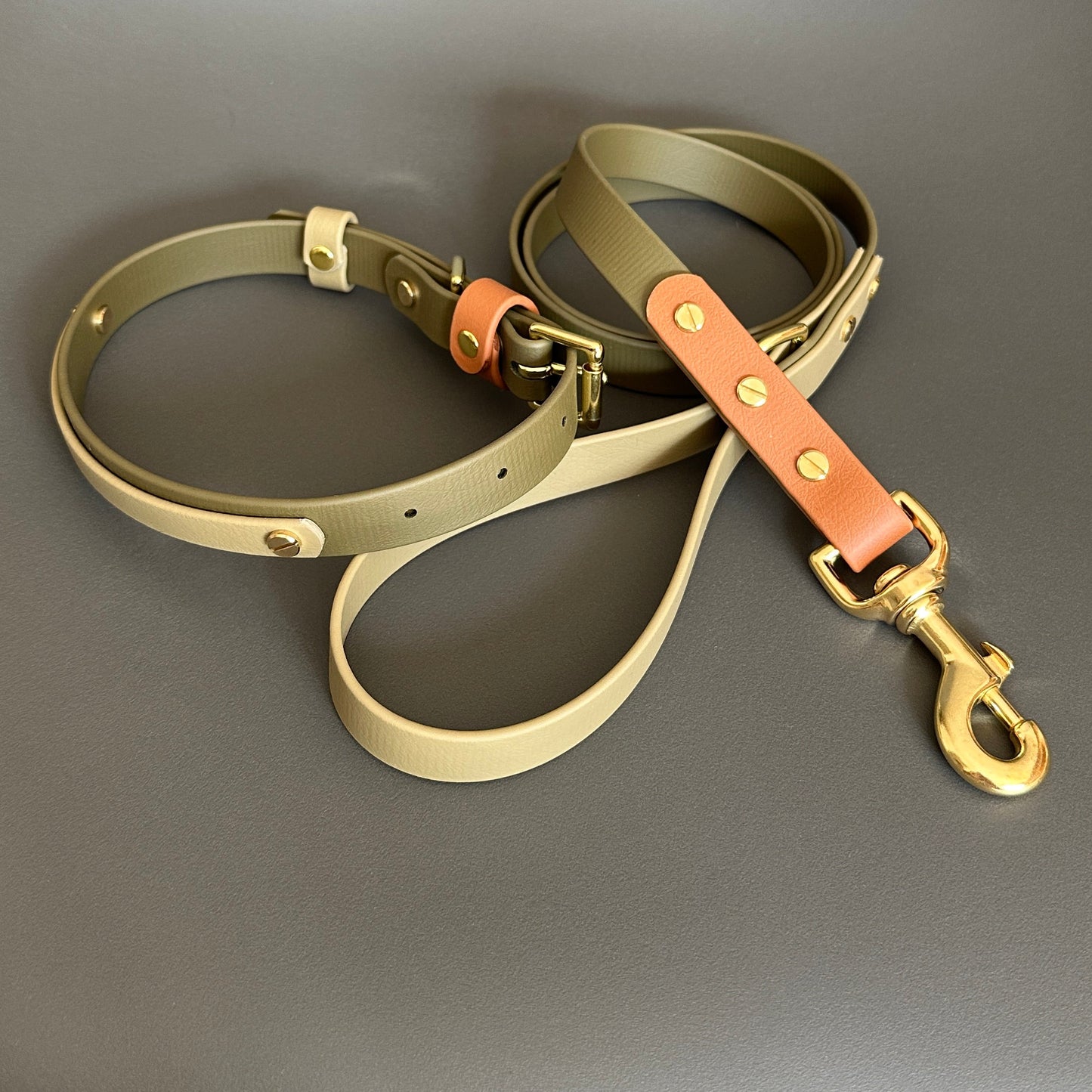 Daniel Colourband BioThane® Collar
