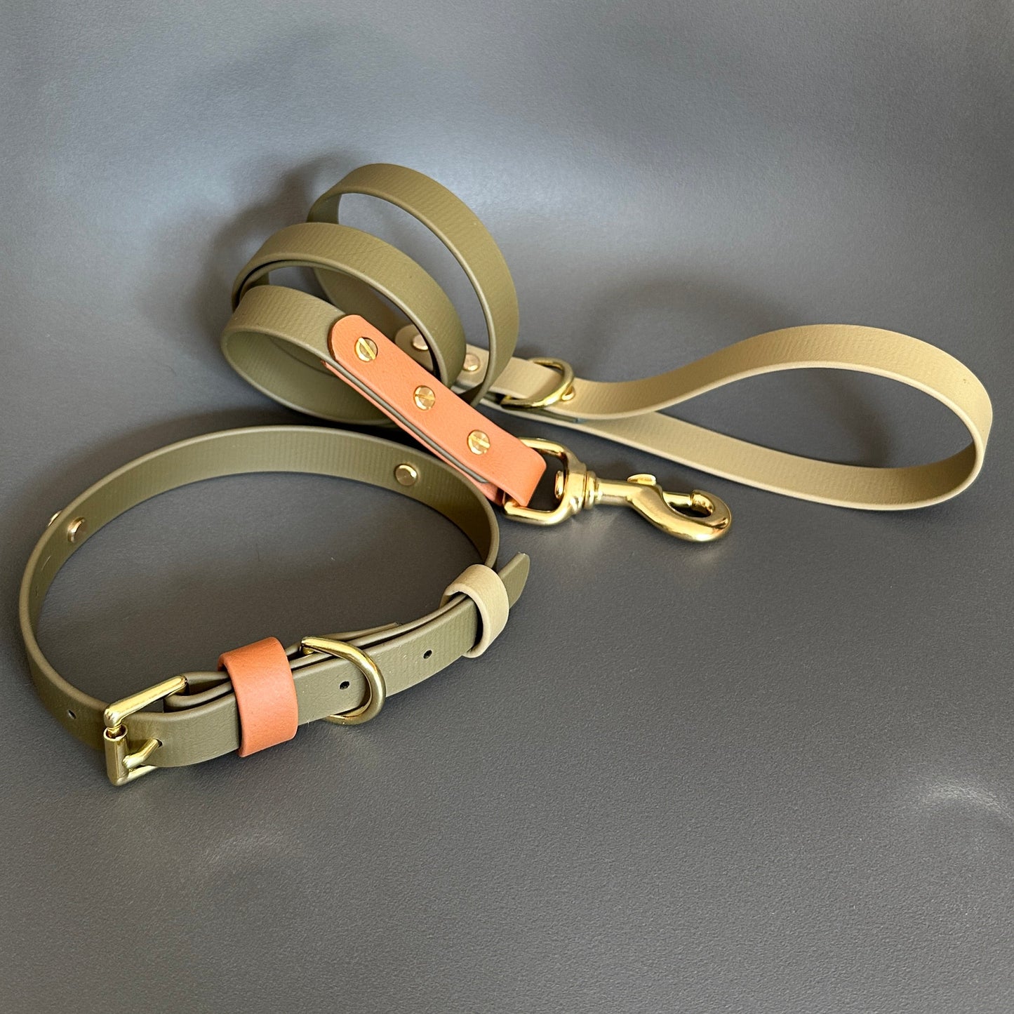 Daniel Colourband BioThane® Collar