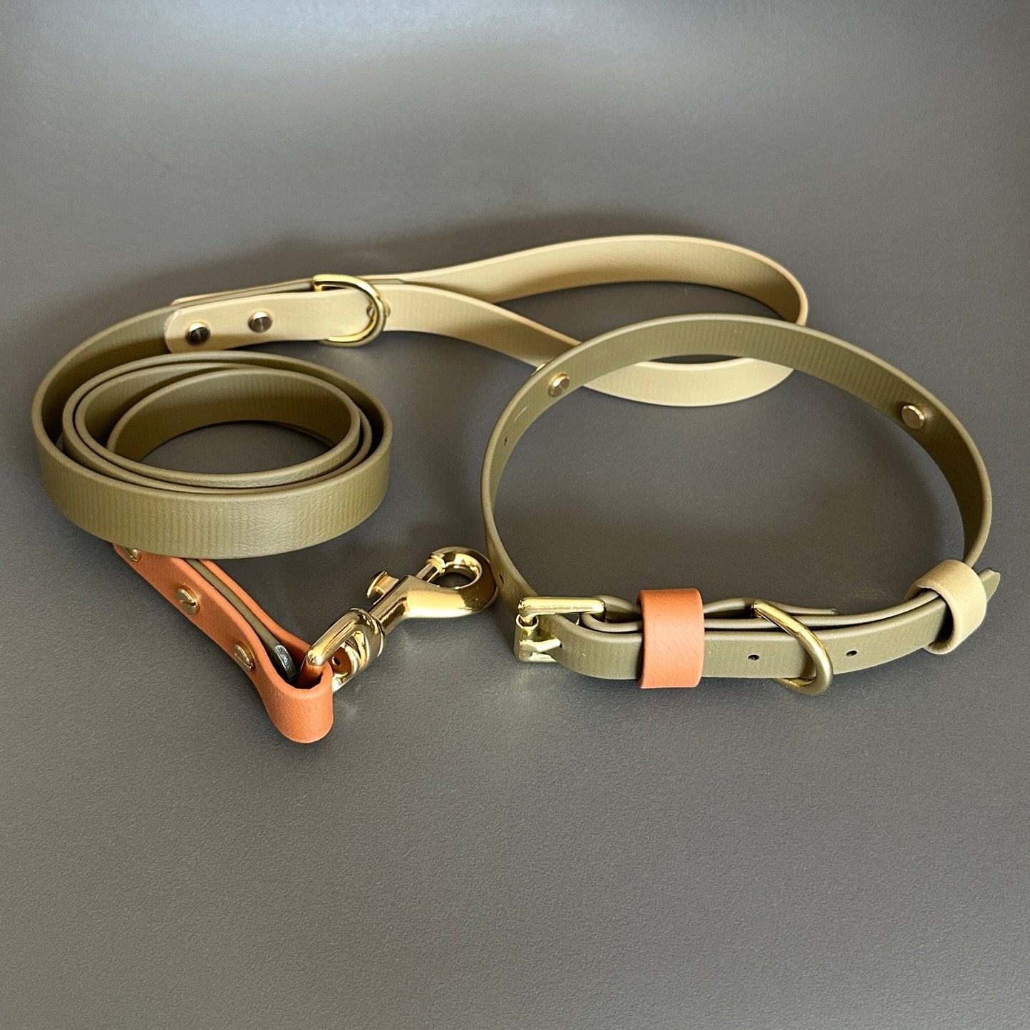 Daniel Colourband BioThane® Collar
