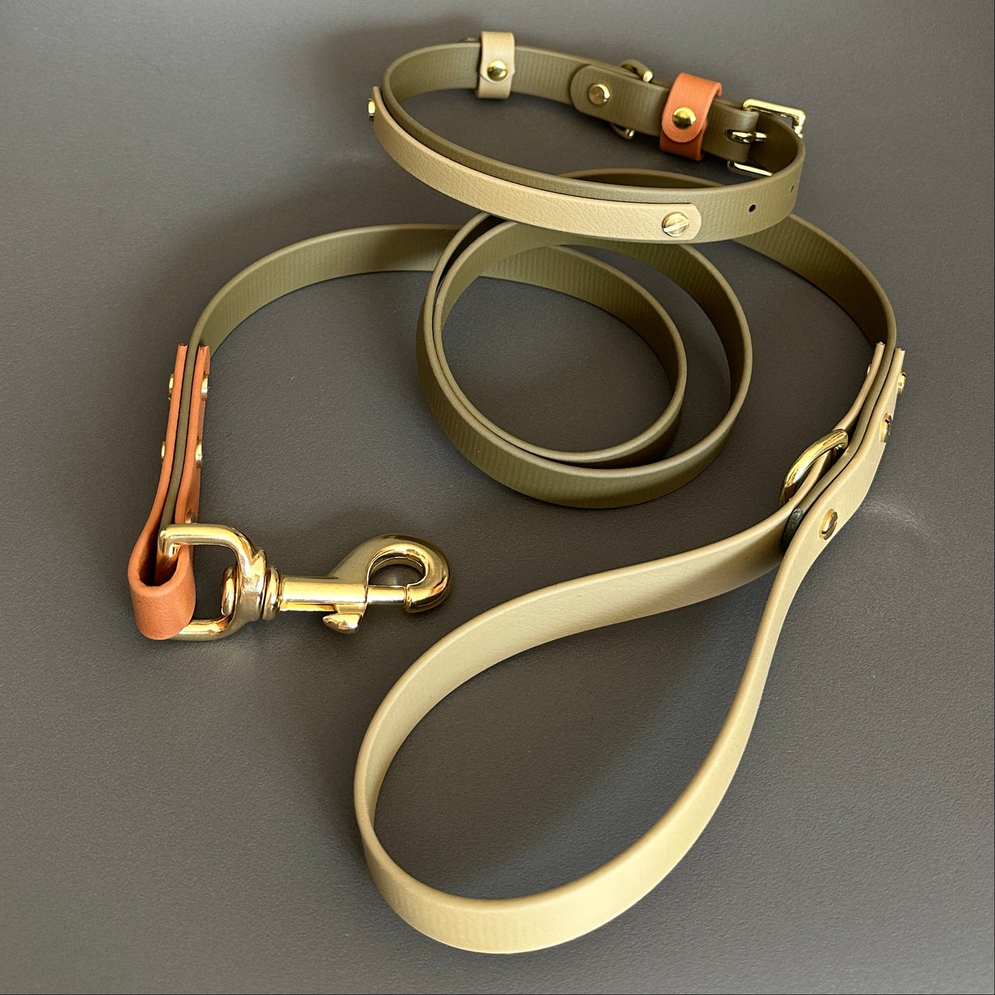 Daniel Colourband BioThane® Collar