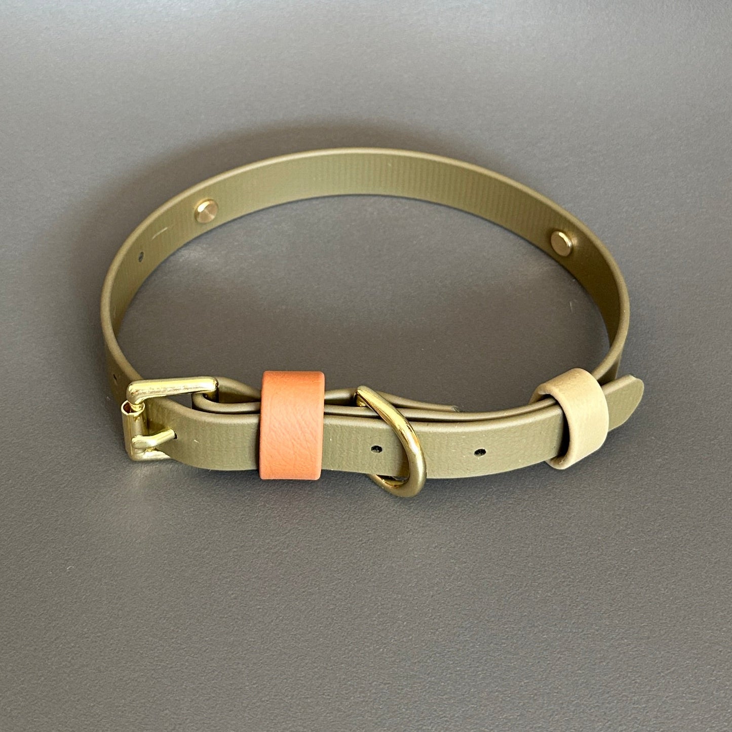 Daniel Colourband BioThane® Collar