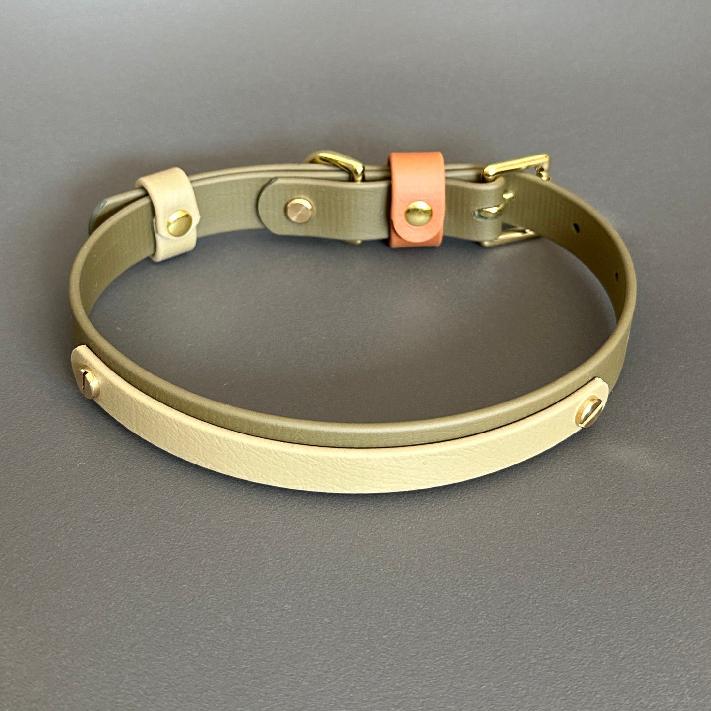 Daniel Colourband BioThane® Collar