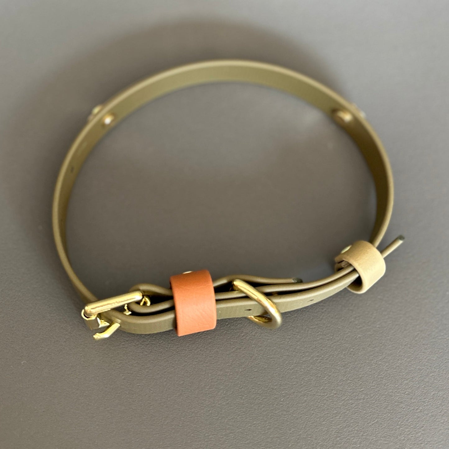 Daniel Colourband BioThane® Collar