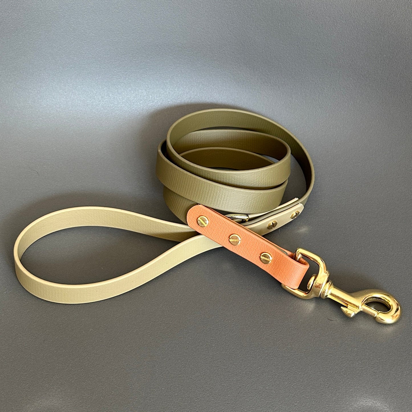 Daniel Colourblock BioThane® Lead