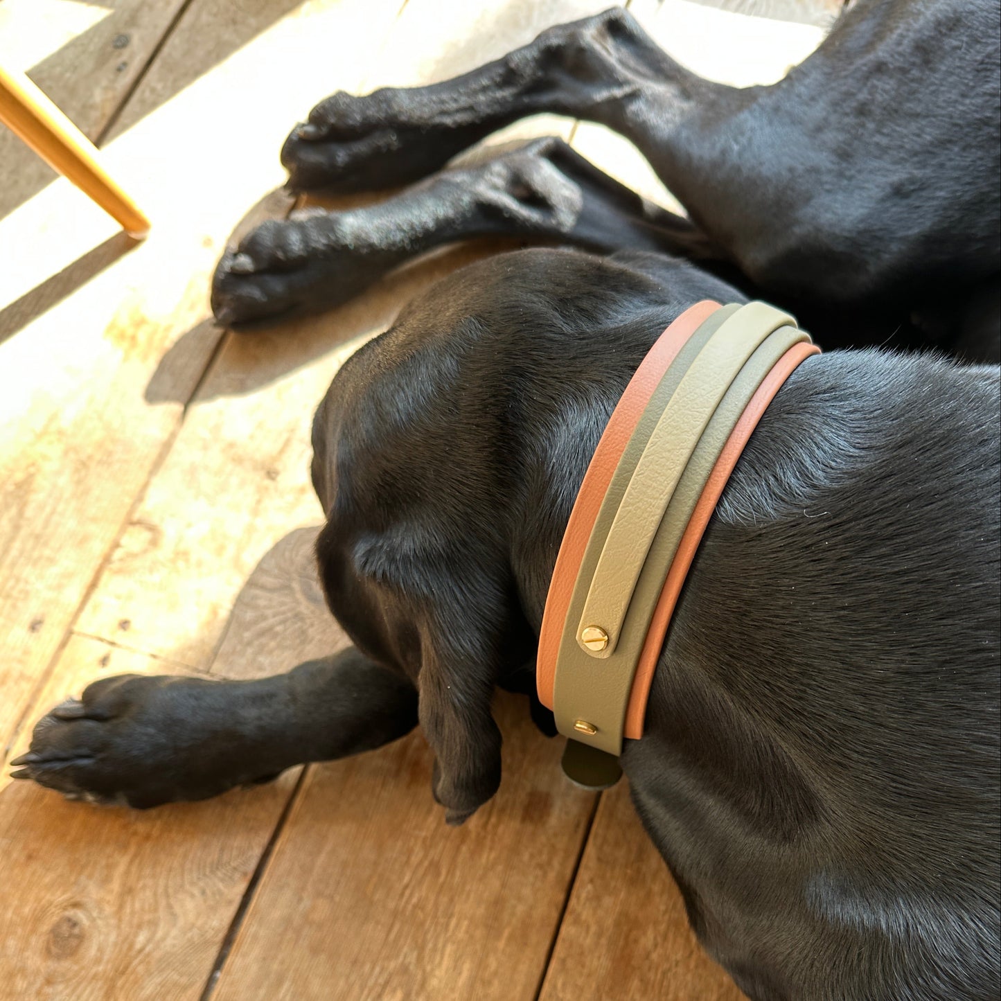 Daniel BioThane® Hound Style Collar