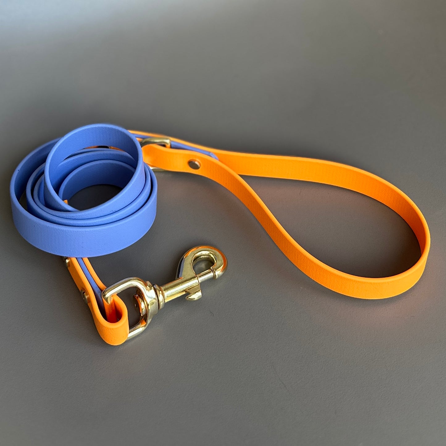 Trixie Colourblock BioThane® Lead