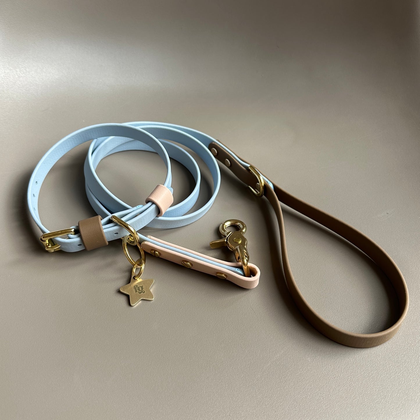 Brighton Otis Colourblock BioThane® Lead