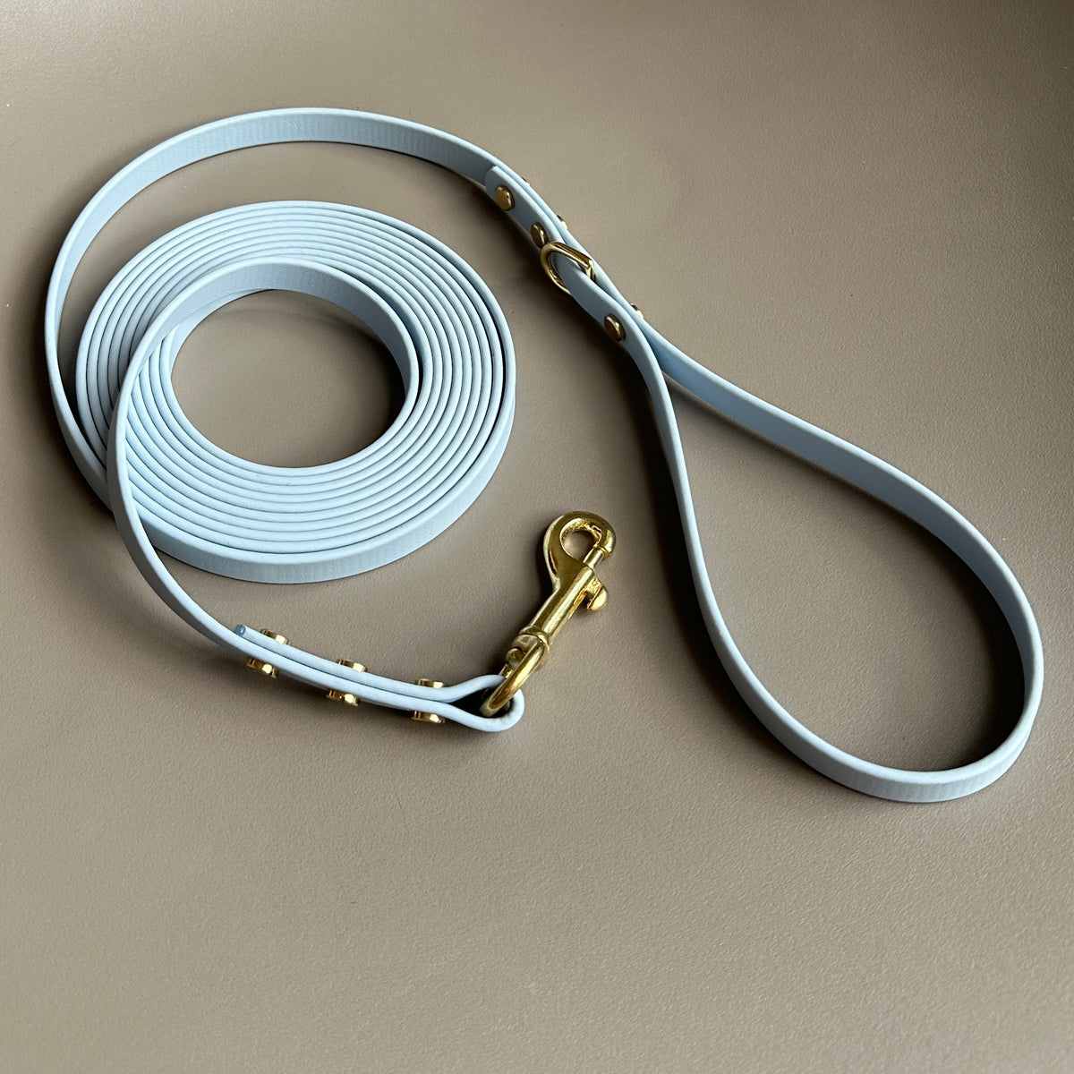 BioThane® 3.5 Metre Long Lead with Handle