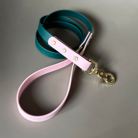 Winnie Colourblock BioThane® Lead