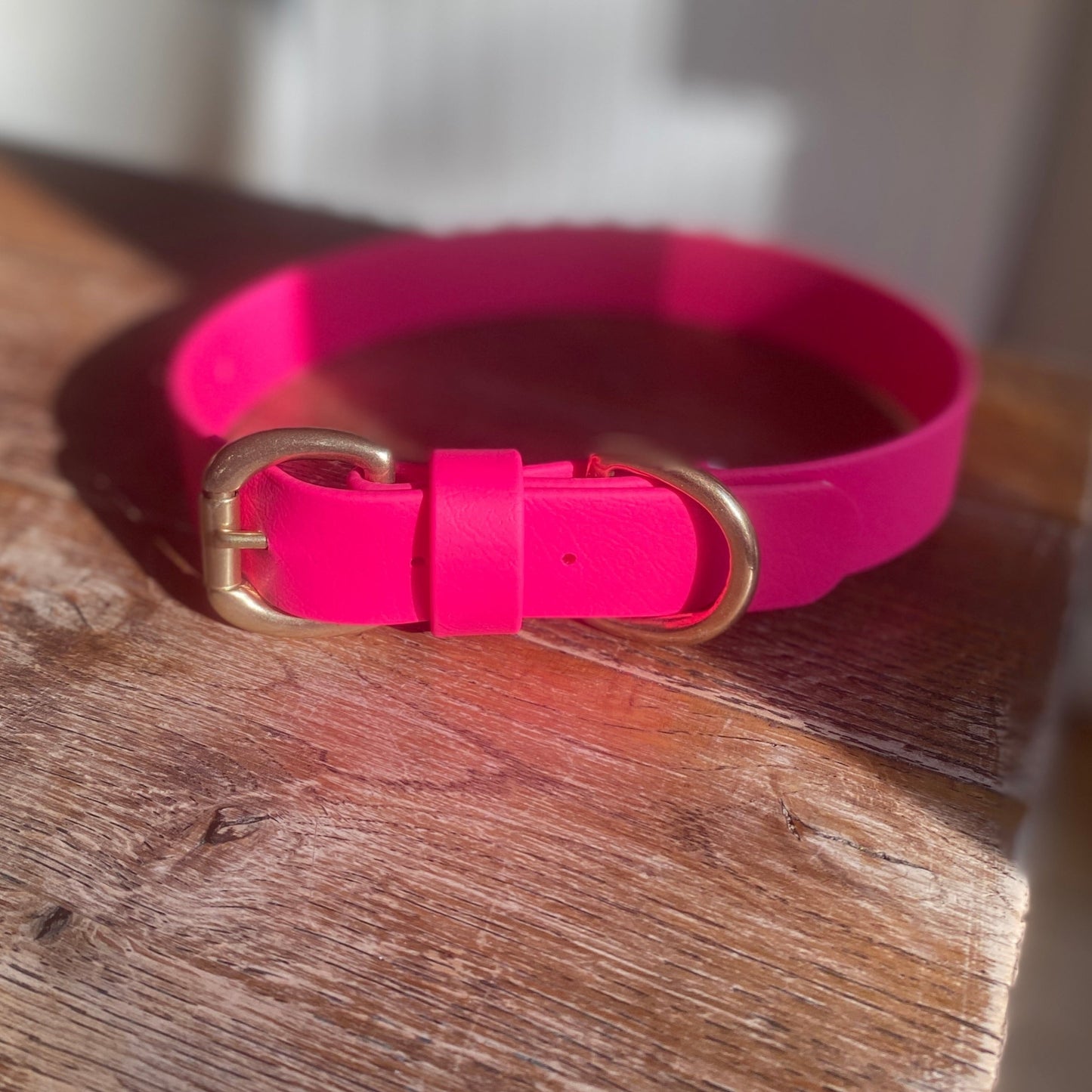 Bright Pink BioThane® Collar