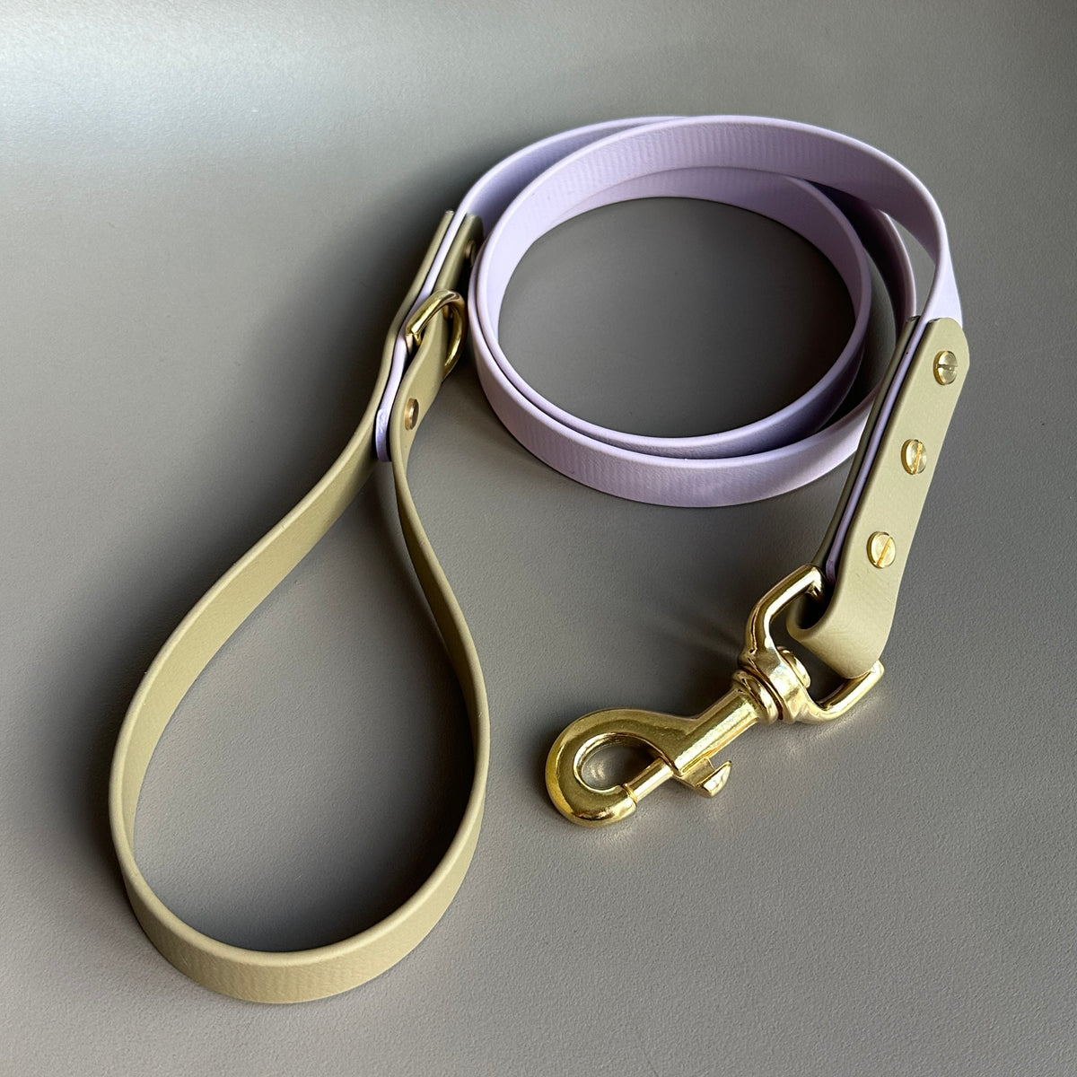 Beikann Colourblock BioThane® Lead