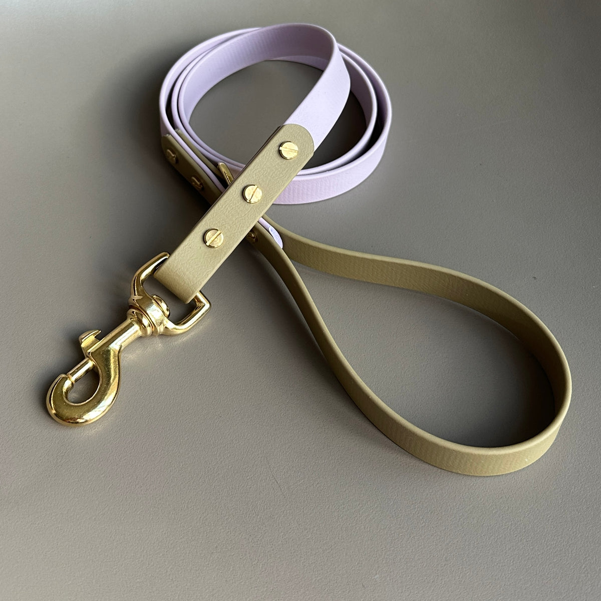 Beikann Colourblock BioThane® Lead