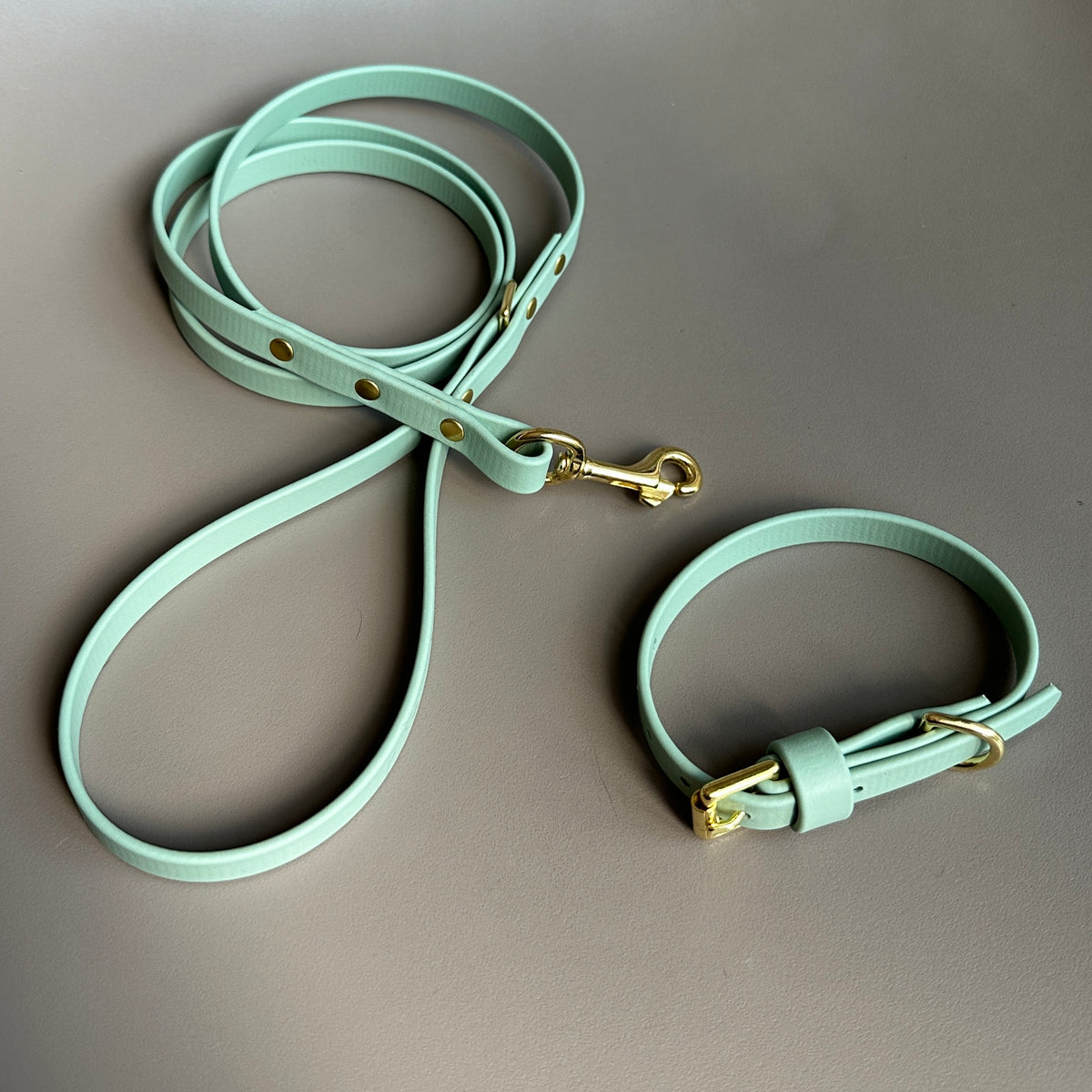 BioThane® 12mm Skinny Lead