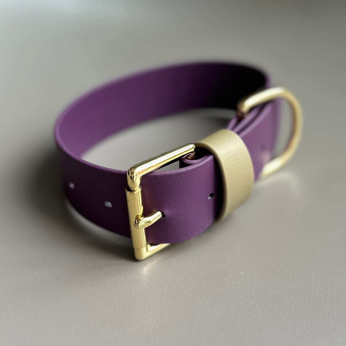 Bramble Wide 38mm BioThane® Collar