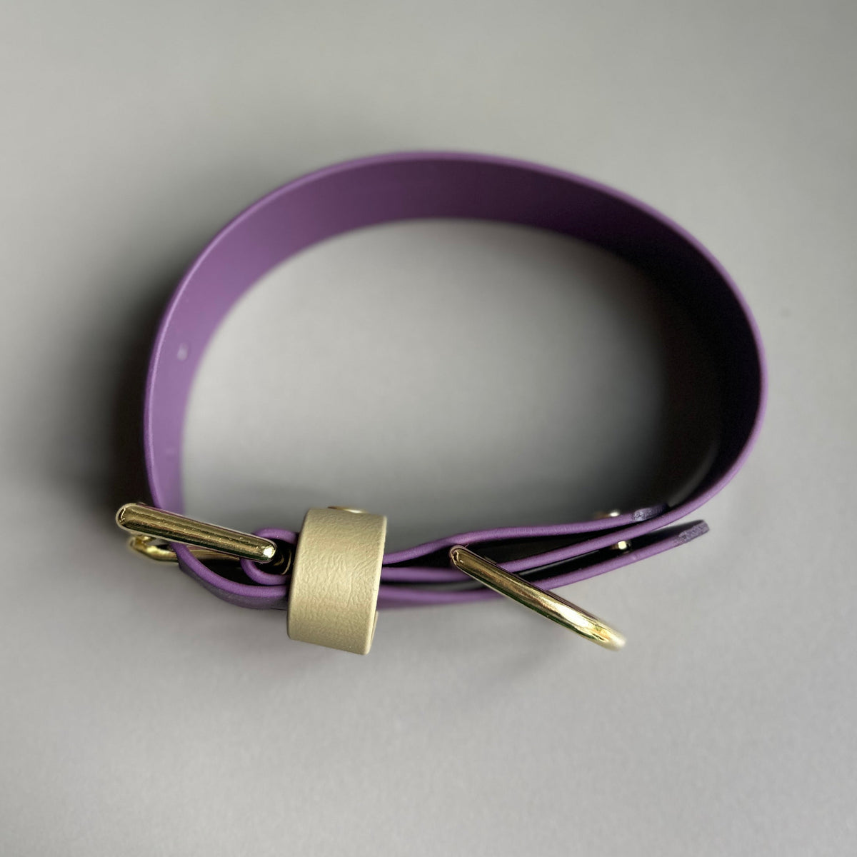 Bramble Wide 38mm BioThane® Collar