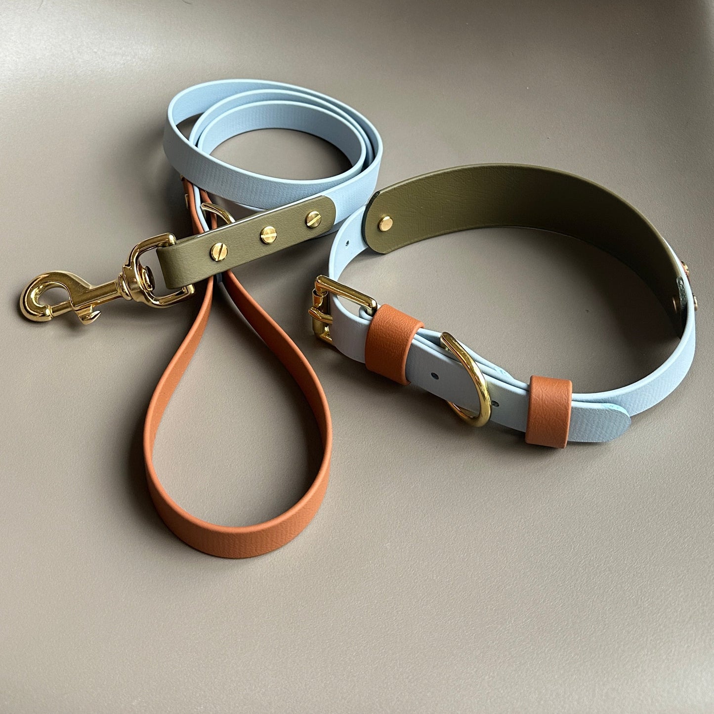 Oslo Colourblock BioThane® Lead